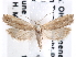  ( - CCDB-29459-B10)  @11 [ ] CreativeCommons - Attribution (2017) CBG Photography Group Centre for Biodiversity Genomics