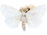  (Leucophobetron argyrorrhoea - CCDB-29481-E07)  @11 [ ] CreativeCommons - Attribution (2017) CBG Photography Group Centre for Biodiversity Genomics
