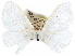  ( - CCDB-29481-E09)  @11 [ ] CreativeCommons - Attribution (2017) CBG Photography Group Centre for Biodiversity Genomics