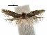  ( - CCDB-29482-B12)  @12 [ ] CreativeCommons - Attribution (2017) CBG Photography Group Centre for Biodiversity Genomics