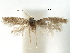  ( - CCDB-29482-F01)  @11 [ ] CreativeCommons - Attribution (2017) CBG Photography Group Centre for Biodiversity Genomics