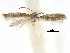  ( - CCDB-29482-F03)  @11 [ ] CreativeCommons - Attribution (2017) CBG Photography Group Centre for Biodiversity Genomics