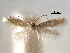  ( - CCDB-29482-F06)  @11 [ ] CreativeCommons - Attribution (2017) CBG Photography Group Centre for Biodiversity Genomics