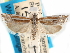  ( - CCDB-29483-E04)  @11 [ ] CreativeCommons - Attribution (2017) CBG Photography Group Centre for Biodiversity Genomics