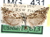  ( - CCDB-29483-E09)  @11 [ ] CreativeCommons - Attribution (2017) CBG Photography Group Centre for Biodiversity Genomics