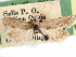 ( - CCDB-29483-G01)  @11 [ ] CreativeCommons - Attribution (2017) CBG Photography Group Centre for Biodiversity Genomics