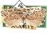  (Pelochrista pediasios - CCDB-29483-G10)  @11 [ ] CreativeCommons - Attribution (2017) CBG Photography Group Centre for Biodiversity Genomics