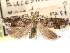  (Pelochrista vandana - CCDB-29483-H03)  @11 [ ] CreativeCommons - Attribution (2017) CBG Photography Group Centre for Biodiversity Genomics