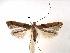  ( - CCDB-29485-B04)  @11 [ ] CreativeCommons - Attribution (2017) CBG Photography Group Centre for Biodiversity Genomics