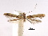  ( - CCDB-29485-B05)  @11 [ ] CreativeCommons - Attribution (2017) CBG Photography Group Centre for Biodiversity Genomics