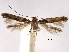  ( - CCDB-29485-B06)  @11 [ ] CreativeCommons - Attribution (2017) CBG Photography Group Centre for Biodiversity Genomics