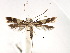  ( - CCDB-29485-C01)  @11 [ ] CreativeCommons - Attribution (2017) CBG Photography Group Centre for Biodiversity Genomics