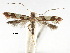  ( - CCDB-29485-C03)  @11 [ ] CreativeCommons - Attribution (2017) CBG Photography Group Centre for Biodiversity Genomics