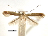  ( - CCDB-29485-C06)  @11 [ ] CreativeCommons - Attribution (2017) CBG Photography Group Centre for Biodiversity Genomics