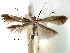  ( - CCDB-29485-D06)  @11 [ ] CreativeCommons - Attribution (2017) CBG Photography Group Centre for Biodiversity Genomics