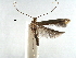  ( - CCDB-29485-D12)  @11 [ ] CreativeCommons - Attribution (2017) CBG Photography Group Centre for Biodiversity Genomics