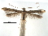  ( - CCDB-29485-E01)  @11 [ ] CreativeCommons - Attribution (2017) CBG Photography Group Centre for Biodiversity Genomics
