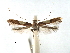  ( - CCDB-29485-E06)  @11 [ ] CreativeCommons - Attribution (2017) CBG Photography Group Centre for Biodiversity Genomics