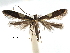  ( - CCDB-29485-E07)  @11 [ ] CreativeCommons - Attribution (2017) CBG Photography Group Centre for Biodiversity Genomics