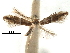  ( - CCDB-29486-B03)  @11 [ ] CreativeCommons - Attribution (2017) CBG Photography Group Centre for Biodiversity Genomics