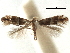  ( - CCDB-29486-B04)  @11 [ ] CreativeCommons - Attribution (2017) CBG Photography Group Centre for Biodiversity Genomics