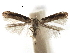  ( - CCDB-29486-D01)  @11 [ ] CreativeCommons - Attribution (2017) CBG Photography Group Centre for Biodiversity Genomics