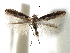  ( - CCDB-29486-D02)  @11 [ ] CreativeCommons - Attribution (2017) CBG Photography Group Centre for Biodiversity Genomics