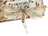  ( - CCDB-29486-H09)  @11 [ ] CreativeCommons - Attribution (2017) CBG Photography Group Centre for Biodiversity Genomics