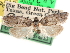  ( - CCDB-29487-B09)  @11 [ ] CreativeCommons - Attribution (2017) CBG Photography Group Centre for Biodiversity Genomics