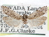  ( - CCDB-29487-C10)  @11 [ ] CreativeCommons - Attribution (2017) CBG Photography Group Centre for Biodiversity Genomics