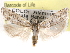  ( - CCDB-29487-C11)  @11 [ ] CreativeCommons - Attribution (2017) CBG Photography Group Centre for Biodiversity Genomics