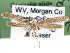  ( - CCDB-29488-D01)  @12 [ ] CreativeCommons - Attribution (2017) CBG Photography Group Centre for Biodiversity Genomics