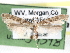  (Caloptilia quercinigrella - CCDB-29488-D02)  @13 [ ] CreativeCommons - Attribution (2017) CBG Photography Group Centre for Biodiversity Genomics