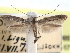  ( - CCDB-29488-D05)  @11 [ ] CreativeCommons - Attribution (2017) CBG Photography Group Centre for Biodiversity Genomics