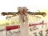  (Caloptilia speciosella - CCDB-29488-F05)  @11 [ ] CreativeCommons - Attribution (2017) CBG Photography Group Centre for Biodiversity Genomics