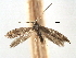  ( - CCDB-29488-H08)  @11 [ ] CreativeCommons - Attribution (2017) CBG Photography Group Centre for Biodiversity Genomics
