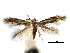  ( - CCDB-29491-B08)  @11 [ ] CreativeCommons - Attribution (2017) CBG Photography Group Centre for Biodiversity Genomics