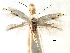 ( - CCDB-29491-D01)  @11 [ ] CreativeCommons - Attribution (2017) CBG Photography Group Centre for Biodiversity Genomics