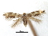  ( - CCDB-29491-E02)  @11 [ ] CreativeCommons - Attribution (2017) CBG Photography Group Centre for Biodiversity Genomics