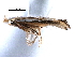  ( - CCDB-29491-F12)  @11 [ ] CreativeCommons - Attribution (2017) CBG Photography Group Centre for Biodiversity Genomics