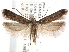  ( - CCDB-29492-E06)  @11 [ ] CreativeCommons - Attribution (2017) CBG Photography Group Centre for Biodiversity Genomics