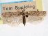  ( - CCDB-29492-G06)  @11 [ ] CreativeCommons - Attribution (2017) CBG Photography Group Centre for Biodiversity Genomics