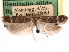  ( - CCDB-29492-H02)  @11 [ ] CreativeCommons - Attribution (2017) CBG Photography Group Centre for Biodiversity Genomics