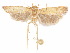  ( - CCDB-29461-E02)  @11 [ ] CreativeCommons - Attribution (2017) CBG Photography Group Centre for Biodiversity Genomics