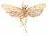  ( - CCDB-29461-H07)  @11 [ ] CreativeCommons - Attribution (2017) CBG Photography Group Centre for Biodiversity Genomics