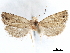 ( - CCDB-29464-G03)  @11 [ ] CreativeCommons - Attribution (2018) CBG Photography Group Centre for Biodiversity Genomics