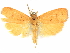  ( - CCDB-29465-A04)  @11 [ ] CreativeCommons - Attribution (2018) CBG Photography Group Centre for Biodiversity Genomics