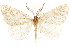  ( - CCDB-29466-C05)  @11 [ ] CreativeCommons - Attribution (2017) CBG Photography Group Centre for Biodiversity Genomics