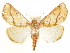  ( - CCDB-29469-B02)  @11 [ ] CreativeCommons - Attribution (2017) CBG Photography Group Centre for Biodiversity Genomics