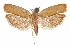  ( - CCDB-29472-C11)  @11 [ ] CreativeCommons - Attribution (2018) CBG Photography Group Centre for Biodiversity Genomics